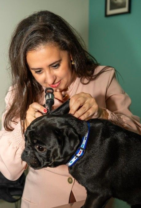 Clínica Médica